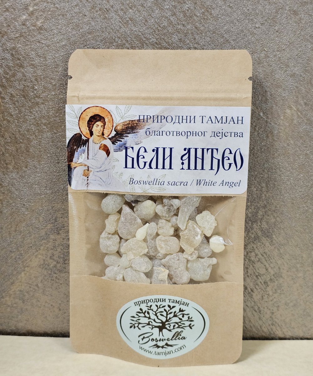 Tamjan Beli Anđeo - Boswellia sacra -Oman - Slika 3