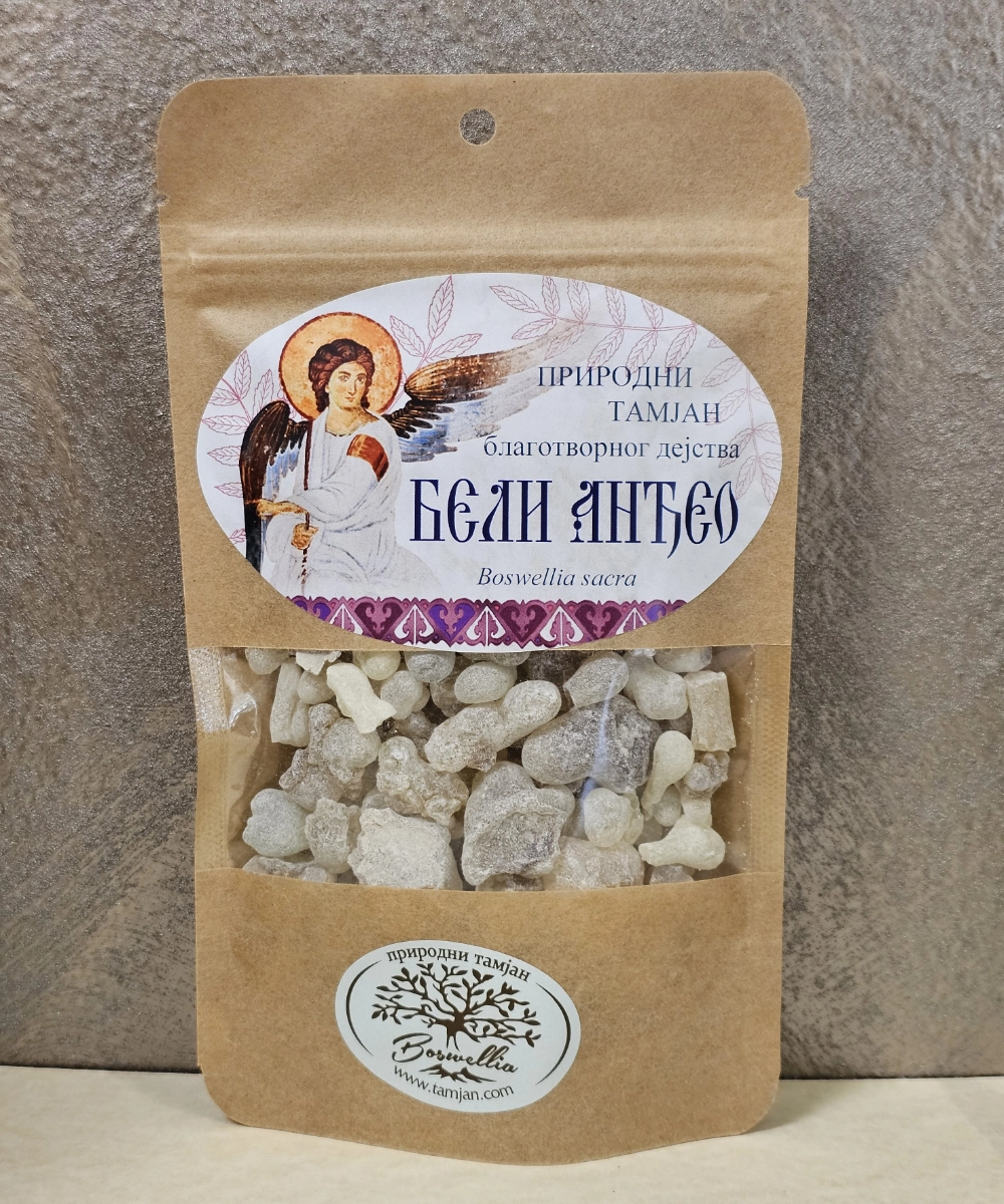 Tamjan Beli Anđeo - Boswellia sacra -Oman - Slika 2