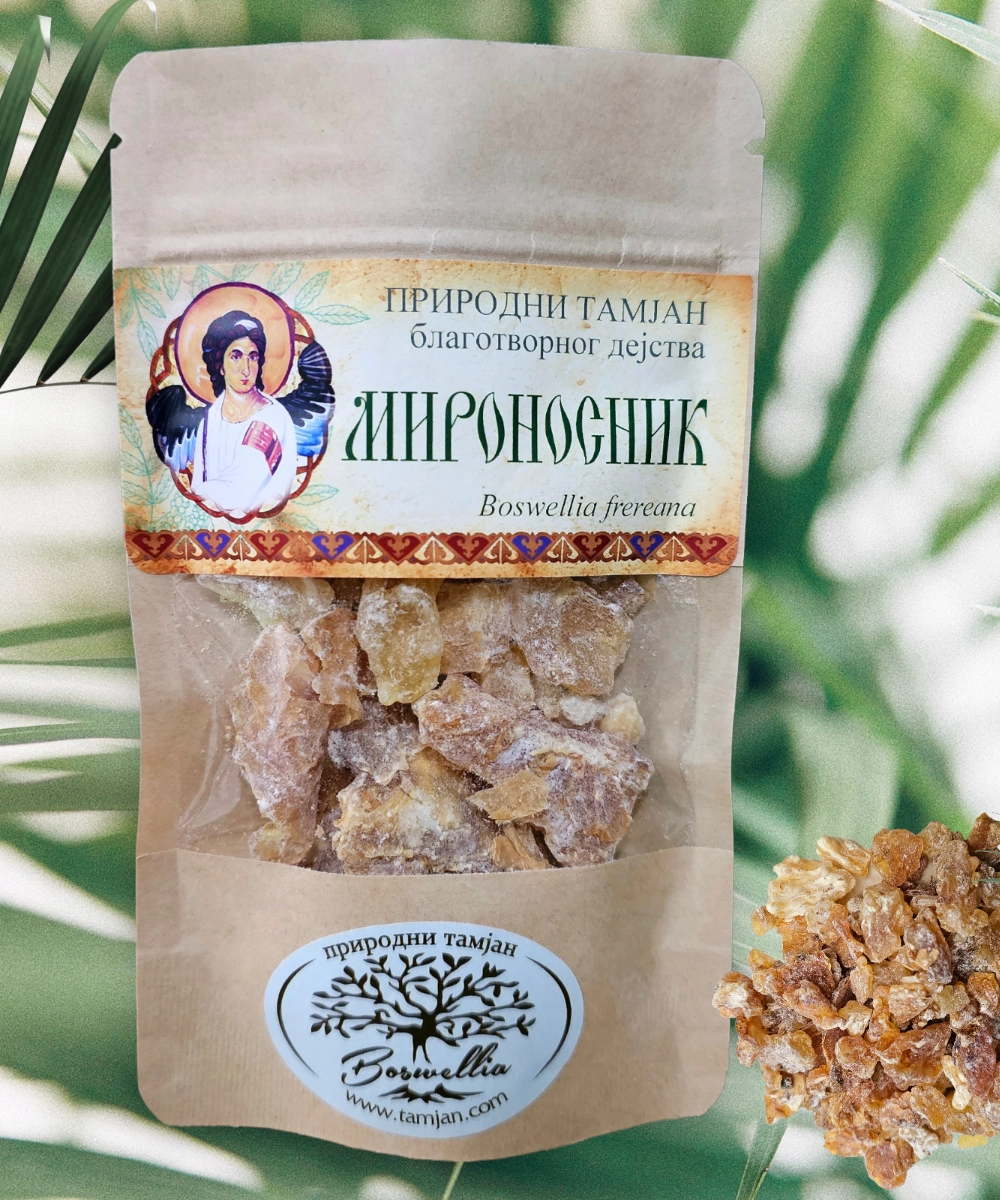 Tamjan Mironosnik - Boswellia frereana - Somalija - Slika 3