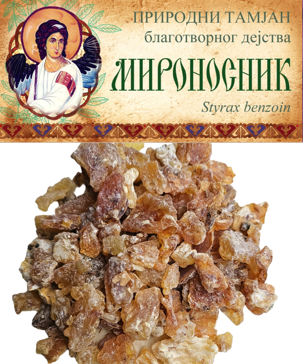Tamjan Mironosnik - Boswellia frereana - Somalija