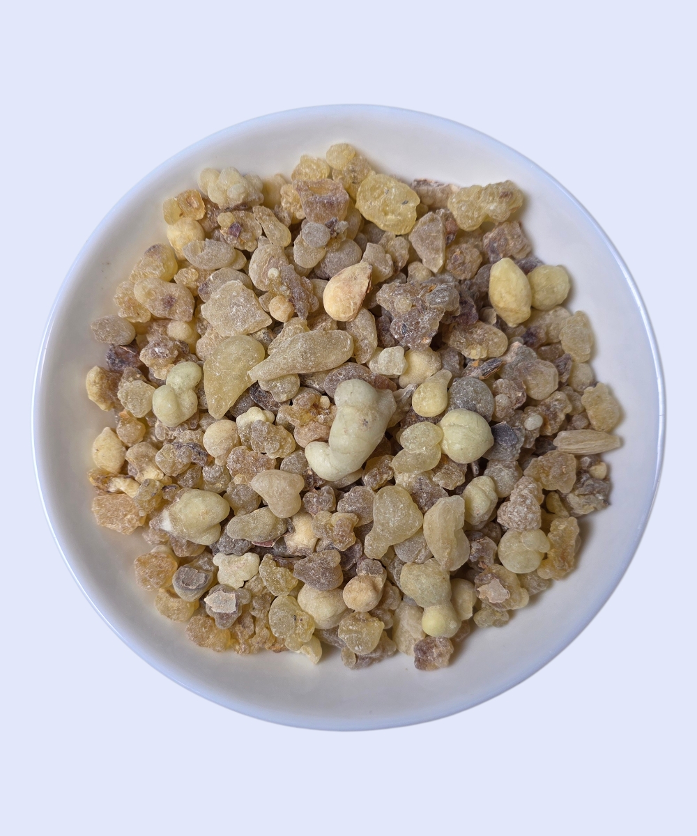 SVETOVNIK – prirodni tamjan - Slika 4