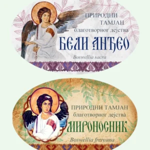 Бели Анђео и Мироносник