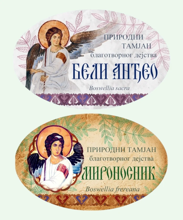Бели Анђео и Мироносник